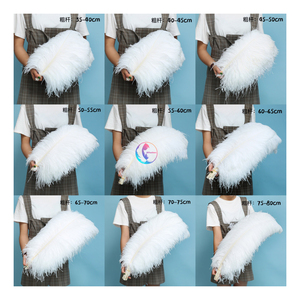 Vrac 50-55cm grandes plumes d'autruche blanches pour décorations de mariage ornements de bureau blanchis pour montage de mouches - Product Image 5