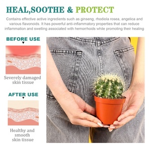 人気商品 個人用ケア製品 高麗人参エキス痔核ソフトジェルカプセル - Product Image 5