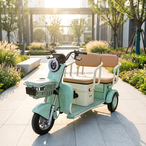 <span class=keywords><strong>Triciclo</strong></span> Eléctrico <span class=keywords><strong>de</strong></span> <span class=keywords><strong>Carga</strong></span> <span class=keywords><strong>Económico</strong></span> <span class=keywords><strong>de</strong></span> 600W para Uso Doméstico - <span class=keywords><strong>Triciclo</strong></span> Eléctrico <span class=keywords><strong>de</strong></span> 3 Ruedas <span class=keywords><strong>de</strong></span> 48V/60V para Jardín y Transporte <span class=keywords><strong>de</strong></span> Mercancías Ligeras - Product Image 2
