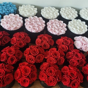 DAMAI 2025 Flor Eterna con Caja de Regalo para el Día de San Valentín y el Día de la Madre, Regalos de Rosas - Product Image 4