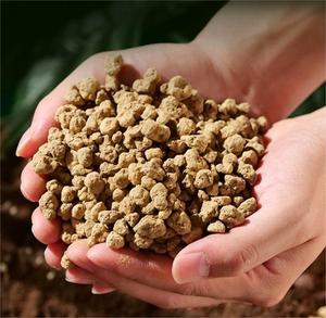 Fertilizante de suelo de plantas suculentas <span class=keywords><strong>Akadama</strong></span> transpirable para plantación verde - Product Image 5