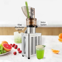 Extracteur de fabricant de jus multifonctionnel commercial de mode de compression durable de vente chaude pour le magasin de décrochage peut fonctionner 12/24H