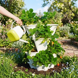 Pot à fraises empilable en plastique moderne <span class=keywords><strong>pour</strong></span> une utilisation au sol et en serre, idéal <span class=keywords><strong>pour</strong></span> gagner de la place - Product Image 1