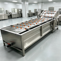 Aanpasbare luchtbelletjes groente- en fruitwasmachine voor restaurants, kantines, centrale keukens en voedselverwerkingsapparatuur