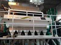 Machine de tri de graines Wenyao à 99,99 % de précision, trieuse chromatique de sésame, trieuse chromatique de poivre frais et séché