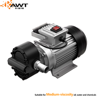 Pompa Gear Industri Listrik Cavitt Factory 750W 380V POM 2800RPM untuk Transfer Cairan Kimia, Air, dan Minyak dengan Viskositas Rendah