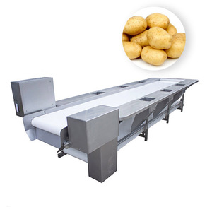 Fabrika ucuz fiyat endüstriyel paslanmaz çelik patates soğan elma domates sebze meyve toplama seçme konveyör - Product Image 3