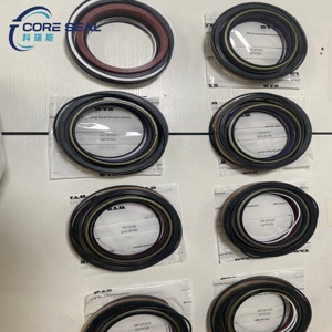 <span class=keywords><strong>Kit</strong></span> <span class=keywords><strong>de</strong></span> réparation <span class=keywords><strong>de</strong></span> cylindre <span class=keywords><strong>de</strong></span> bras <span class=keywords><strong>de</strong></span> machine <span class=keywords><strong>de</strong></span> construction, <span class=keywords><strong>kit</strong></span> <span class=keywords><strong>de</strong></span> réparation <span class=keywords><strong>de</strong></span> cylindre d'excavatrice <span class=keywords><strong>pour</strong></span> Doosan DX340 / DX340LC / DX340LCA - Product Image 5