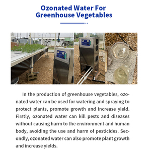 Qlozone procesamiento de frutas vegetales sistema de tratamiento de agua de ozono maquinaria purificador de agua industrial generador de ozono para agua - Product Image 6
