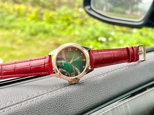 Montre de luxe haut de gamme, mouvement mécanique automatique, bracelet en cuir de crocodile, cadran dégradé visible la nuit, étanche pour Omegaes - Product Image 2