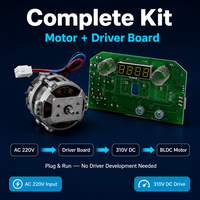 Motor BLDC de Eje Vertical con Control PWM, 220V 50Hz, Bus de CC de 310V con Placa Controladora, Bajo Ruido, para Licuadoras y Máquinas de Leche de Soja