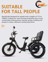 Tricycle à trois roues à pneus larges pour la neige, certifié EEC, moteur central 750W, trike passager et cargo, batterie au lithium, adultes, 200 kg