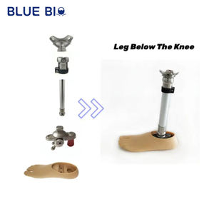 Geamputeerde Boven Knie Onder Kniegewricht Prothetische Ledematen Delen Kunstbeenkit Met Prothetische Voet - Product Image 3