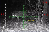HENBAKER CY800 8x Monokuler Penglihatan Malam 1000M Pengukur Jarak 6000J Tahan Air WIFI Perhitungan Balistik