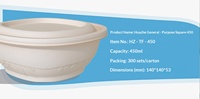 Premium Moderne 450ml 140x140x53mm 148x148x48mm Vierkante Bakje met Deksel Robuust Eetbaar Verpakking Lekvrij Eenhoudig Verbruiksartikel
