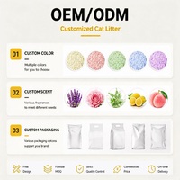 Litière pour chat en tofu naturel, agglomération rapide, désodorisante, hautement absorbante, faible teneur en poussière, écologique, vente en gros