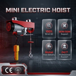 <span class=keywords><strong>Polipasto</strong></span> <span class=keywords><strong>Eléctrico</strong></span> Portátil Mini Pa800 con Cable de Acero, <span class=keywords><strong>Precio</strong></span> 220v - Product Image 2
