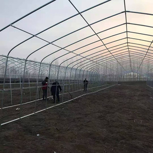 500M2 Single-Span Film Plastic Frame Strawberry Plastic Film High Tunnel Greenhouses <strong>Agriculture</strong> - Product Image 5