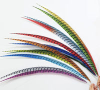 Plumes artificielles en gros, fausses plumes de faisan zèbre teintées, longues plumes pour costumes de carnaval, festivals et décorations de samba