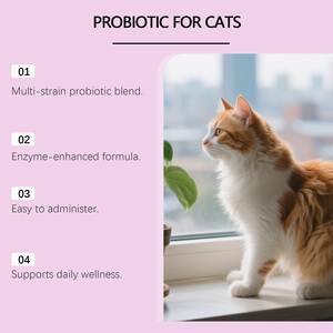 Gotas Probióticas para Gatos, Versión Avanzada, Sabor a Pollo, Suplemento Nutricional para la Salud Gastrointestinal de Gatos, 60 ml, OEM - Product Image 4