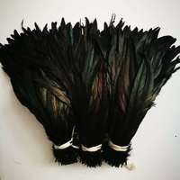 40-45cm(16-18inch) Plumes de coq noir Vente en gros Rooter Coque Tails pour coiffure Carnaval Sac à dos Décor