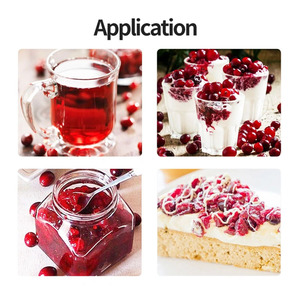 Doğal gıda sınıfı kızılcık özü tozu kızılcık meyve suyu tozu - Product Image 5