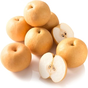 Barras de Gelatina de Konjac con Colágeno y Vitamina C de Marca Privada de Alta Calidad, Mejoran la Elasticidad de la Piel, Refuerzan la Inmunidad, Apoyan la Energía - Product Image 3