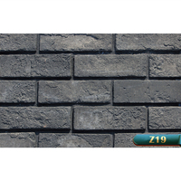 Briques murales extérieures fines en faux béton résistantes aux acides BERICH LY04 en promotion