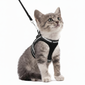 Ensemble harnais et laisse pour chat Rabbitgoo preuve d'évasion de marche, gilet de chatons doux réglable avec bande réfléchissante pour chats, - Product Image 1