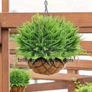 Simulación de hierba <span class=keywords><strong>persa</strong></span>, <span class=keywords><strong>caballo</strong></span> de mar, plantas de hierba, planta verde, decoración de pared, flores, hojas verdes, helechos de otoño - Product Image 6