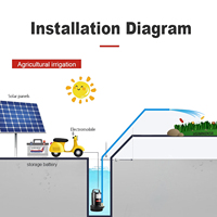 Haushalts-Kleinst-Gleichstrompumpe 12V/24V/48V/60V, Hochleistungs-Solar-Gleichstrom-Tauchpumpe mit großem Durchfluss für landwirtschaftliche Bewässerungssysteme