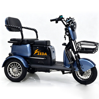 Scooter électrique personnalisé 10 pouces 600w/800w/1000w 60V/72V 3 vitesses, tricycle à pousser/tirer, trois places, 35 km d'autonomie