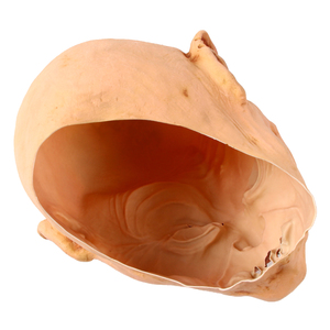 Masque Gollum en latex pour adultes Cosplay Costume Accessoires Halloween Terror Party Headgear Scary Mask retro Halloween masks - Product Image 6