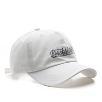 Gorra de béisbol Lisa para papá, gorro de béisbol liso, gorra de béisbol personalizada, bordada, Lisa