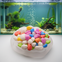 Galets Teints pour Aménagement Paysager Extérieur, Pierres Colorées Non-Décolorantes, Forme Irrégulière, Non-Compactées pour Bordures de Piscine et Décoration de Chemins