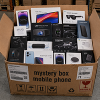 Mystery Box: Elettronica Usata, Orologi Sportivi, Auricolari Cromati, Caricabatterie Portatili - Ingrosso per Rivendita, Distributore Globale