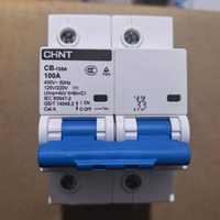 Disjoncteur CC CHINT CB-125A 80A 100A 125A 2P 1P 60V 110V 220V DC MCB Interrupteur de déconnexion de batterie pour système solaire VR et marine