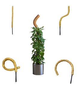 2023 Moss Pole for Plants clear moss pole plastic modular moss pole Climbing Plants Support bendable DIY Shape