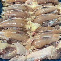 Os de poulet désossé congelé de haute qualité avec filet à bon prix conforme à la norme Halal