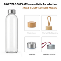 Bouteille d'eau en verre borosilicate de haute qualité sans BPA avec bouchon à vis scellé
