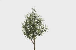 Árbol Artificial de Olivo de 150 cm, Nuevo Diseño, 9 Ramas, Bonsái, Tacto Real, Material PEVA, <span class=keywords><strong>Resistente</strong></span> a los Rayos UV, para Interiores y Exteriores, Oferta - Product Image 2