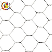 Grillage en fil d'acier galvanisé à maille plate pour cages d'élevage de poulets et de canards