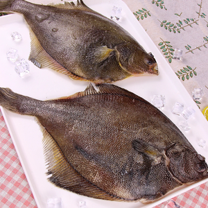 Peixe Congelado Premium 100% Natural do Alasca, Capturado em Águas Profundas, Filé de Linguado Sem Pele, Livre de Químicos, 1x10lb para Exportação - Product Image 6