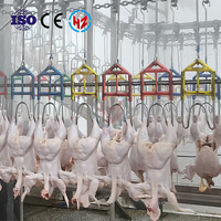 Chaîne de production compacte d'abattage de volailles Haoze 300-15000BPH |   Poulet Canard |   Halal |   Clé en main |   Épluchage des plumes |   Roulement de moteur, boîte de vitesses