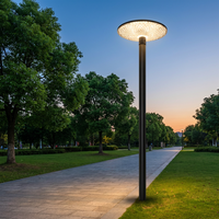 Lampe solaire LED pour rue, IP65, batterie rechargeable, télécommande, panneau solaire mono-Si en aluminium, certifiée CE, pour usage en jardin
