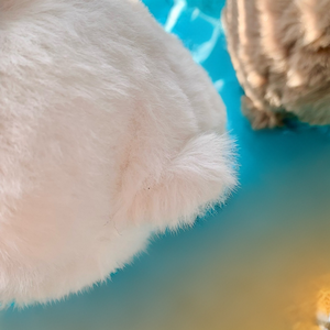 Jelly Catt Kitten Caboodle Family, jouets en peluche super doux pour enfants et poupées apaisantes - Product Image 5