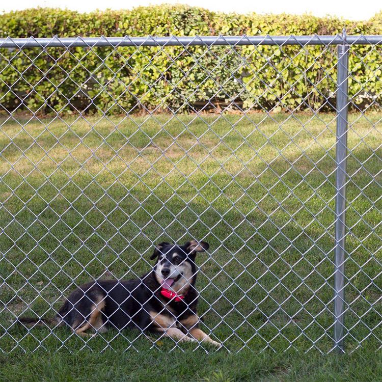Black Green Pvc Coated Chain Link Mesh Fencing 14 Gauge Diamond Farm 6ft X 50ft