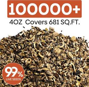 Fleurs sauvages en vrac 4 Oz 100,000 + 26 Variété mélange annuel <span class=keywords><strong>vivace</strong></span> attirer papillon oiseaux abeilles Pots de fleurs jardinières pour le sol de la maison - Product Image 4