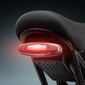 Vélo électrique Eahora Cupid 1000W Urban Custom Power avec pneus larges de 20 pouces et une tension de 48V pour adultes - Product Image 6