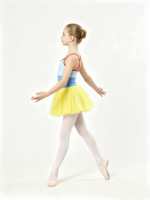 Usine de haute qualité velours justaucorps rigide Tulle classique Ballet Tutu robe Costume de danse